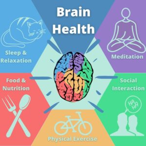Foods That Boost Brain Power & How Sleep Affects Brain Function